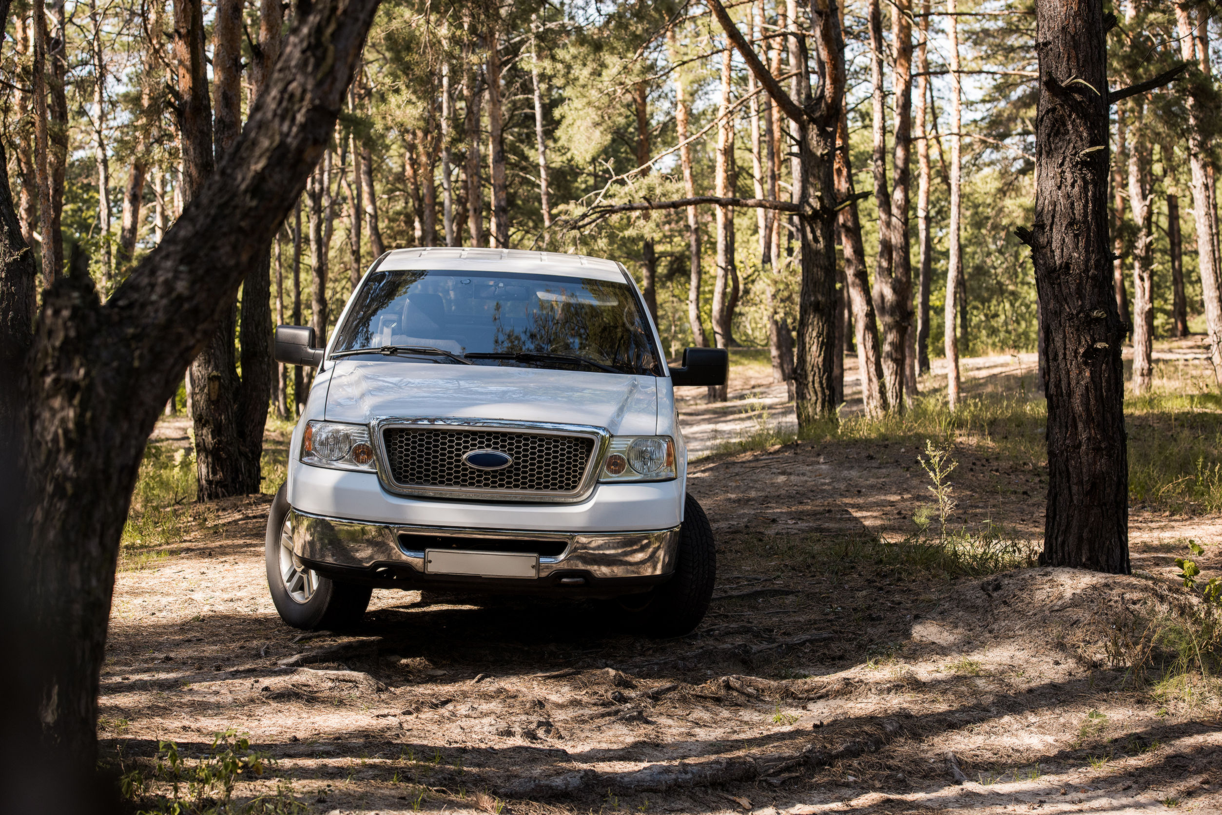 white pickup truck in forest at daytime